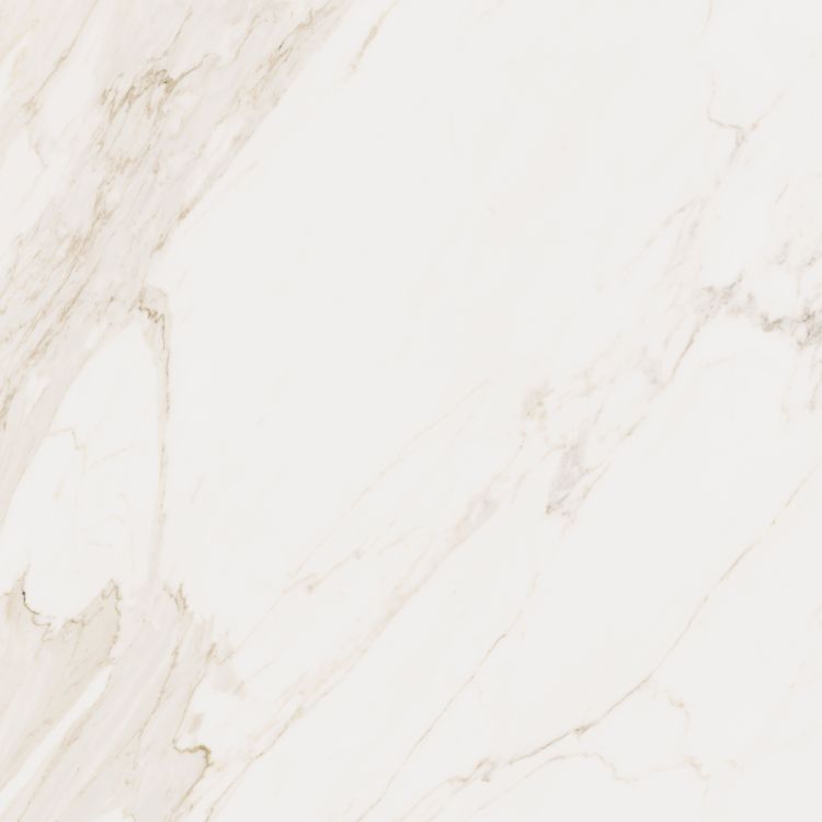 Omnia Calacatta Matte 48 x 48